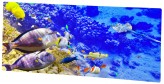 HGlass ���������� ������������ HGlass Premium IGH 5010 F (��������������)